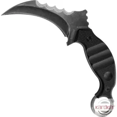 BlackField Raptor  