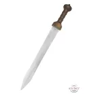Mainz Gladius