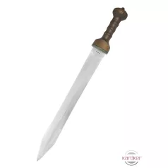 Mainz Gladius