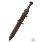 Mainz Gladius