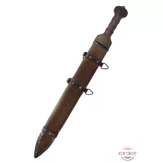 Mainz Gladius