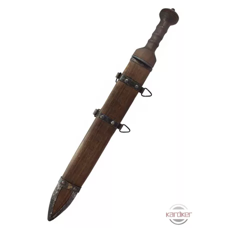 Mainz Gladius