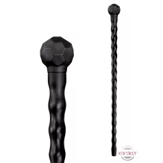 African walking stick