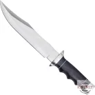 Outlaw Bowie
