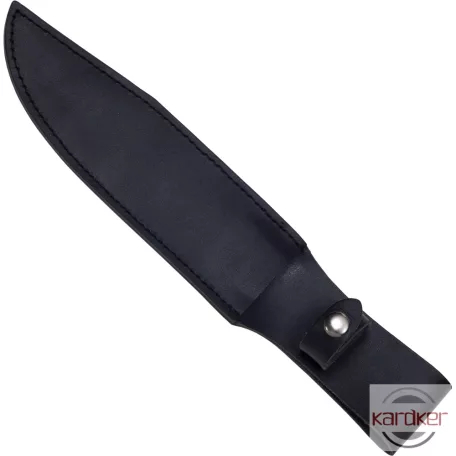 Outlaw Bowie