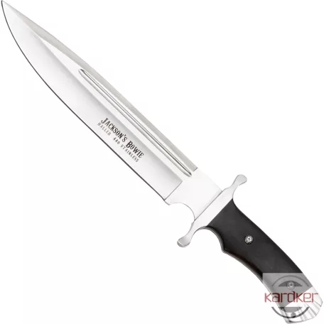 Jackson's Bowie
