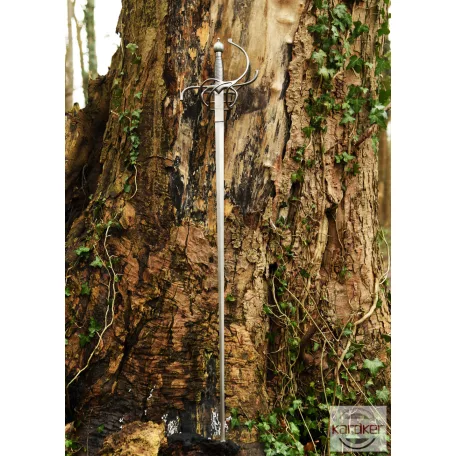 Practical Rapier