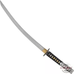 Dragon Tokuni Wakizashi