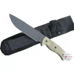 RAT-7  
