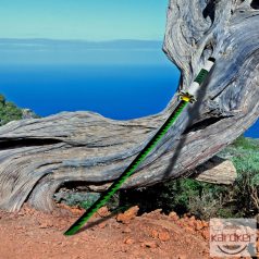 Demon Slayer Sanemi Shinazugawa Katana