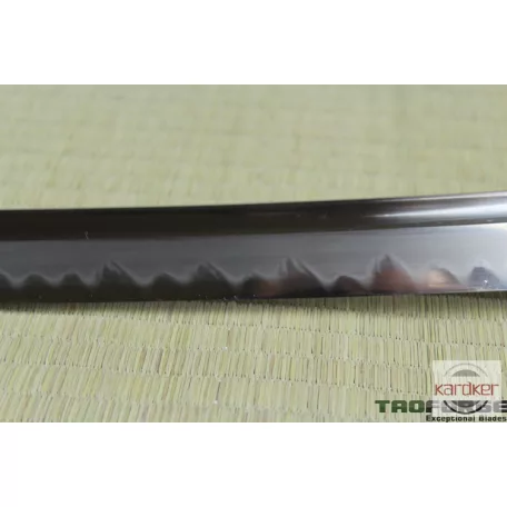 Fuku Ryu Katana