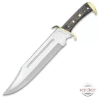 Western Outlaw Bowie