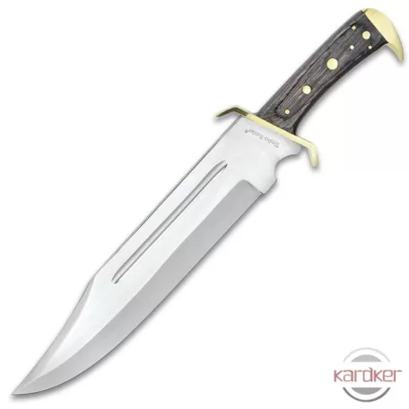 Western Outlaw Bowie