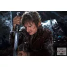 The Lord Of The Rings Sting Scabbard