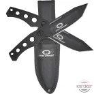 WithArmour ACES