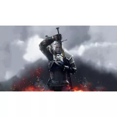 The Witcher