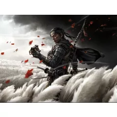 Ghost of Tsushima