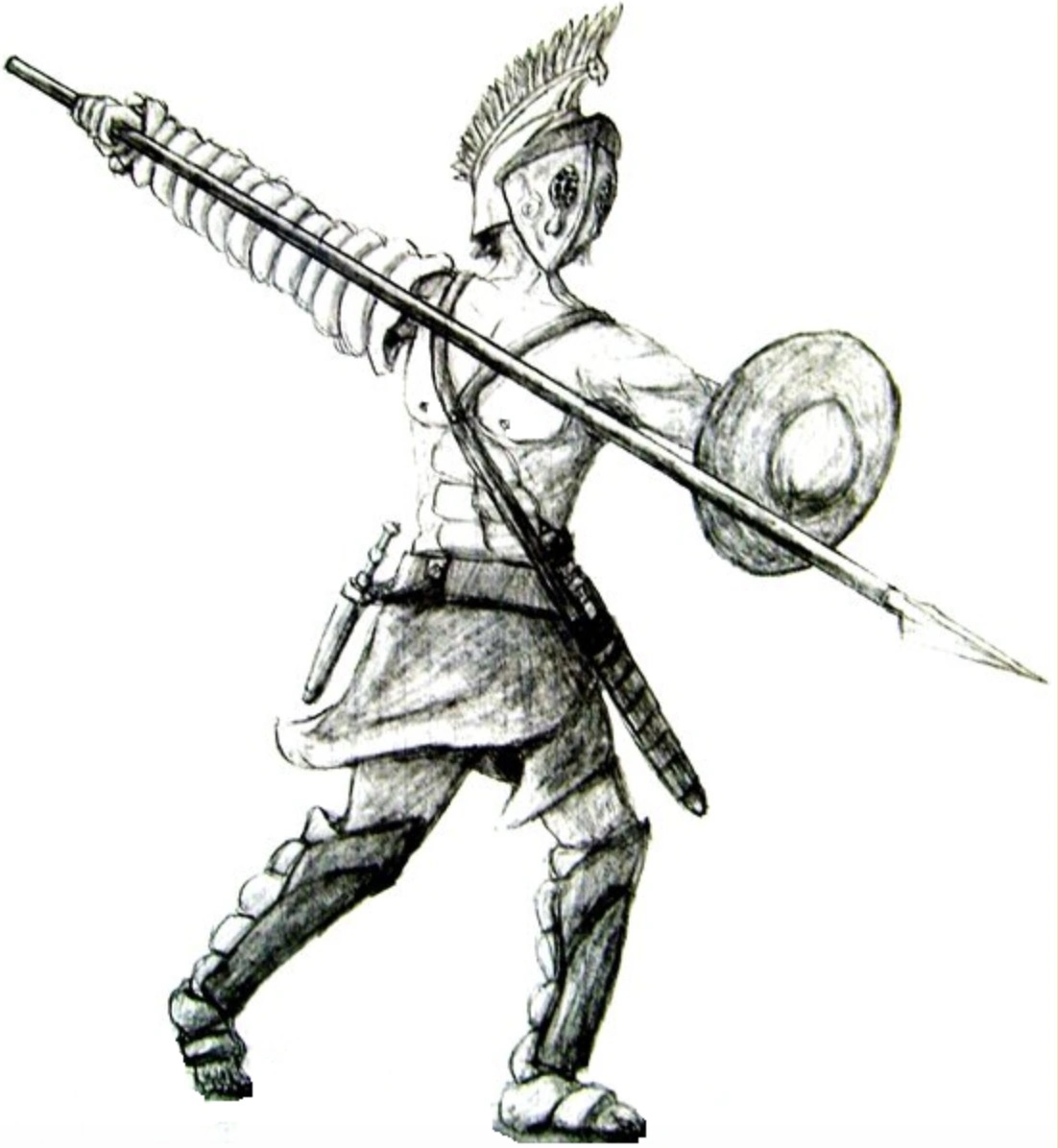 Hoplomachus Hoplomachus